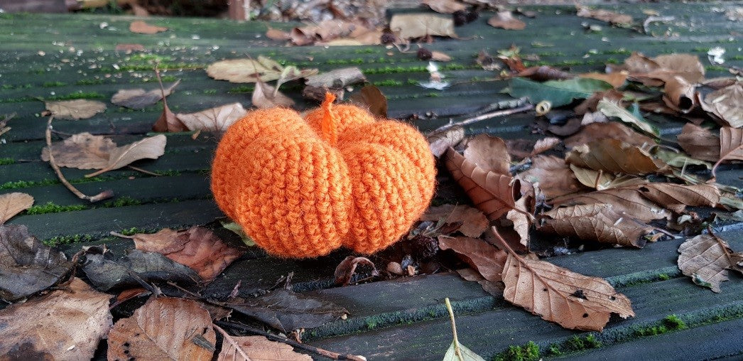 Beginners crochet workshop with Helen