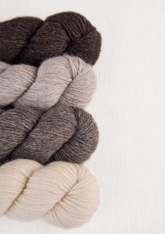 Bramble and Fleece - Sheepsoft Aran