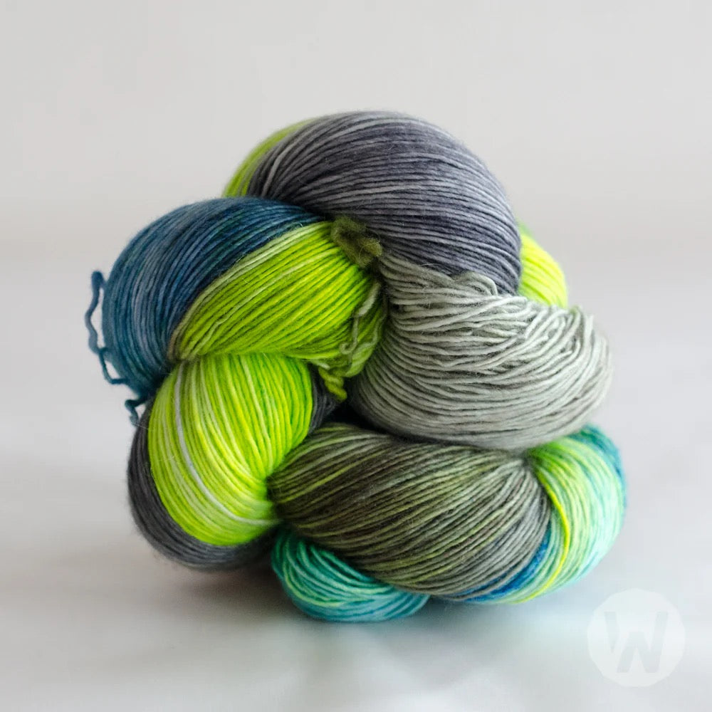 Walk Collection Pure Sock Hand dyed